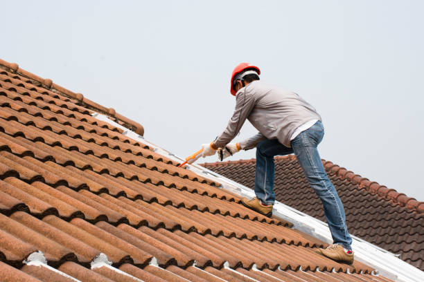 Best Cold Roofs  in Keary, NE